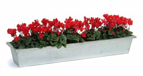 Plantentrog 80cm - Gegalvaniseerd staal