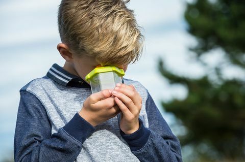 schoolkinderen natuur