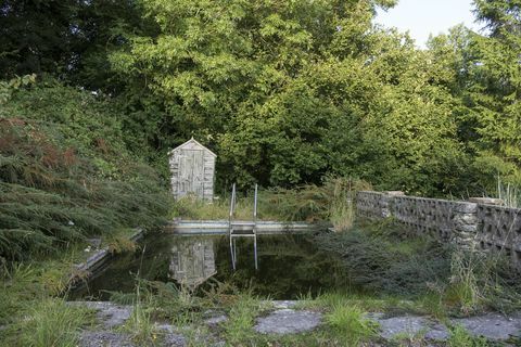 natuurlijk zwembad