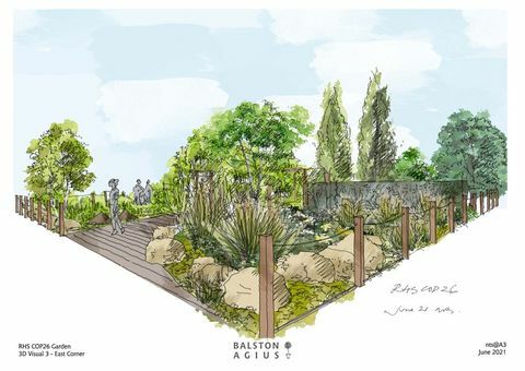 rhs chelsea flower show 2021 cop26 feature tuin