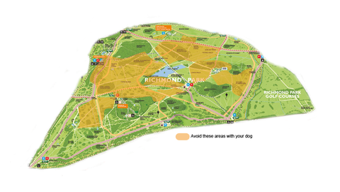de koninklijke parken onthullen een kaart van de te vermijden gebieden vanwege herten