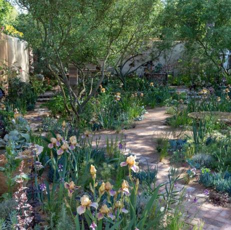 Chelsea Flower Show 2023 tuinieren tuinontwerp koester landschappen