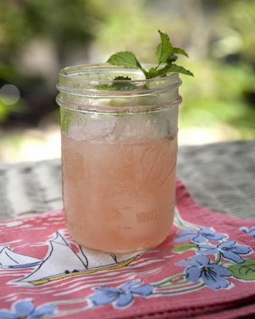 mason jar watermeloenfrosé met takje verse munt