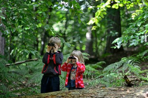 Broer en zus, vogels kijken in het bos in de zomer, Norfolk