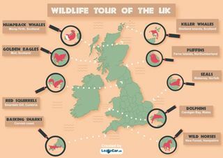 wildlife kaart uk