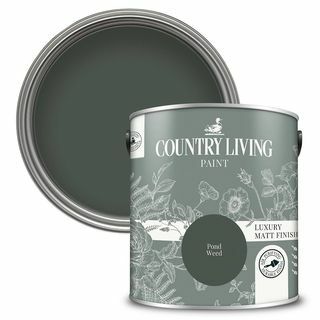 Country Living Mat Emulsie Verf Pond Weed