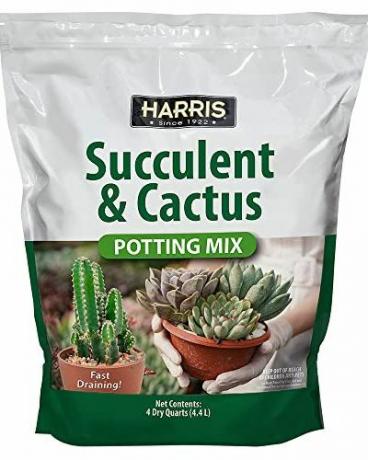 Harris Premium Succulent en Cactus Potting Mix