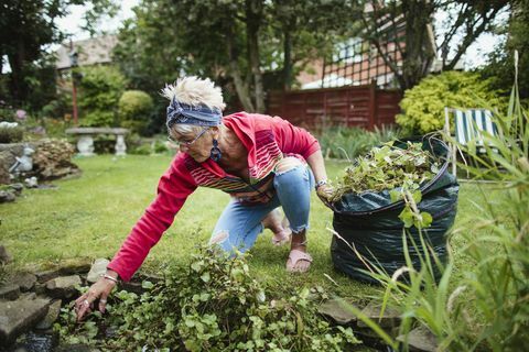 senior vrouw die onkruid en tuinafval verzamelt in haar compostzak ze maakt onkruid uit haar tuinvijver