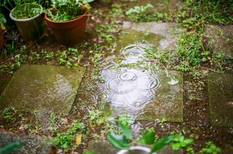 regendruppels waardoor ringen op het water in de tuin