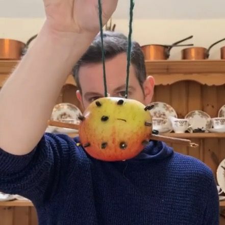 matt's apple baars feeder