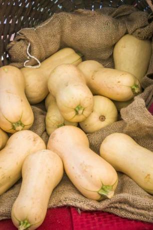 een mand bevat verse pompoen op een markt voor kaapkabeljauwboeren