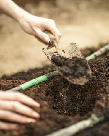 vrouw die met een spade een gat in de tuin graaft