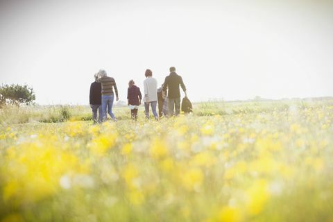 Familie wandeling op het platteland