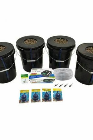 Diepwatercultuur hydrocultuur systeem met 4 planten