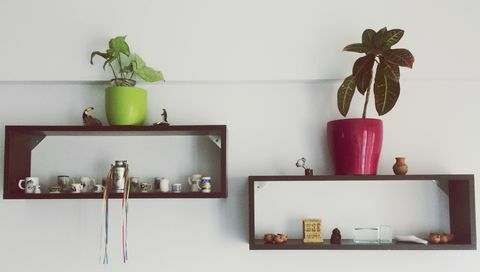 Potplanten Op Planken Thuis