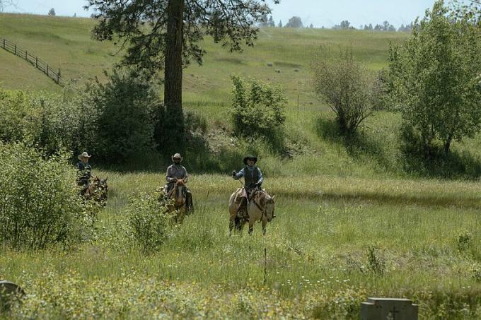 cowboys rijden door de weide op yellowstone