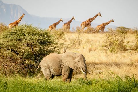 Nairobi, Kenia