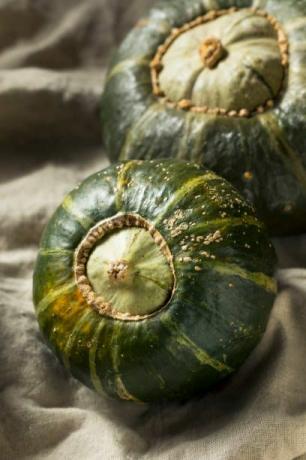 rauwe biologische boterbloem squash klaar om te snijden