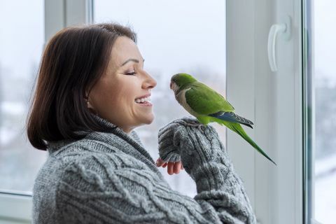 vrouw van middelbare leeftijd en papegaai samen, vrouwelijke vogeleigenaar pratend kijkend naar groen quaker-huisdier