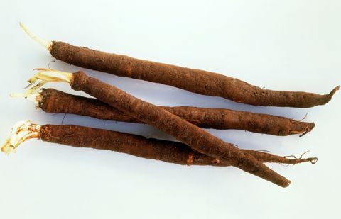 Scorzonera (Black Salsify)