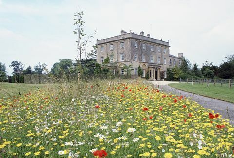 tetbury, verenigd koninkrijk 14 juli een wilde bloemenweide geplant door prins charles in highgrove, country home to the wales familiefoto door tim graham fotobibliotheek via getty images