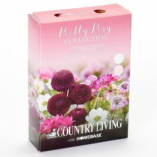 Pretty Posy Collectie Bloembollen