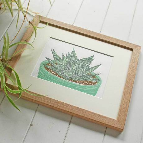 Haworthia - Beperkte editie - Originele linosnede print