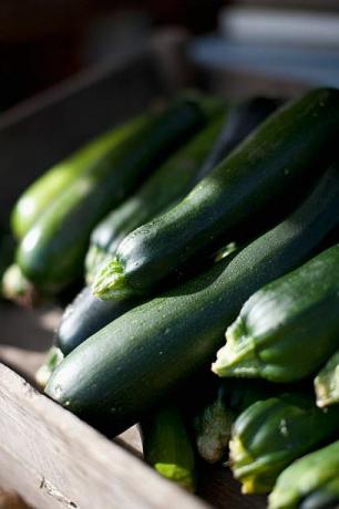 courgette